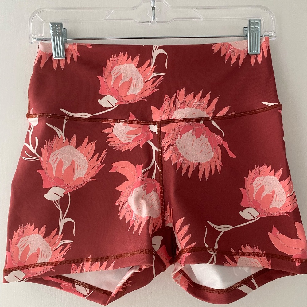 Fighting Eel x Ava Sky Fit Athletic Shorts/Spandex